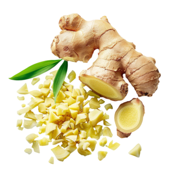 Jahe (Zingiber Officinale)